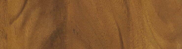 h1114_ribera_orah-1