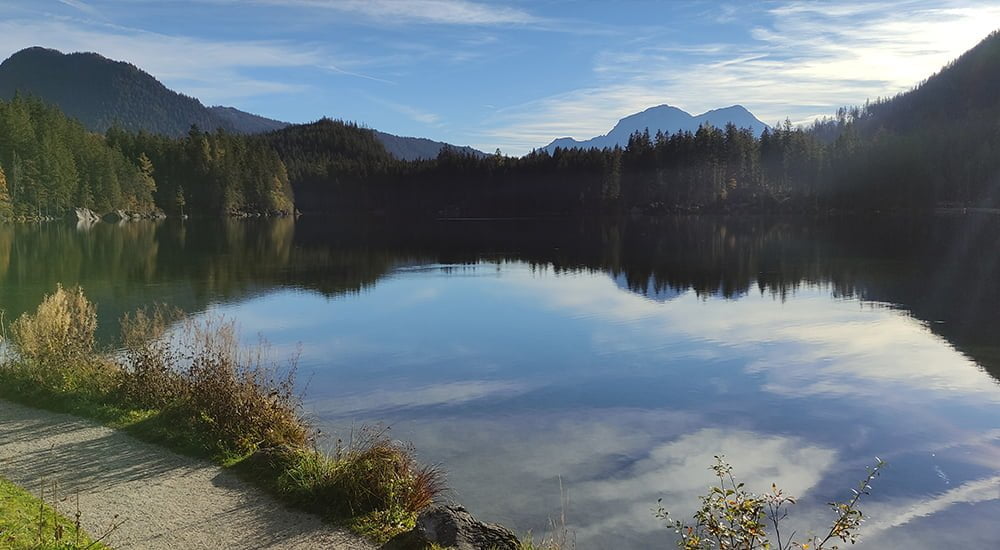 Podrška studentima Šumarskog fakulteta