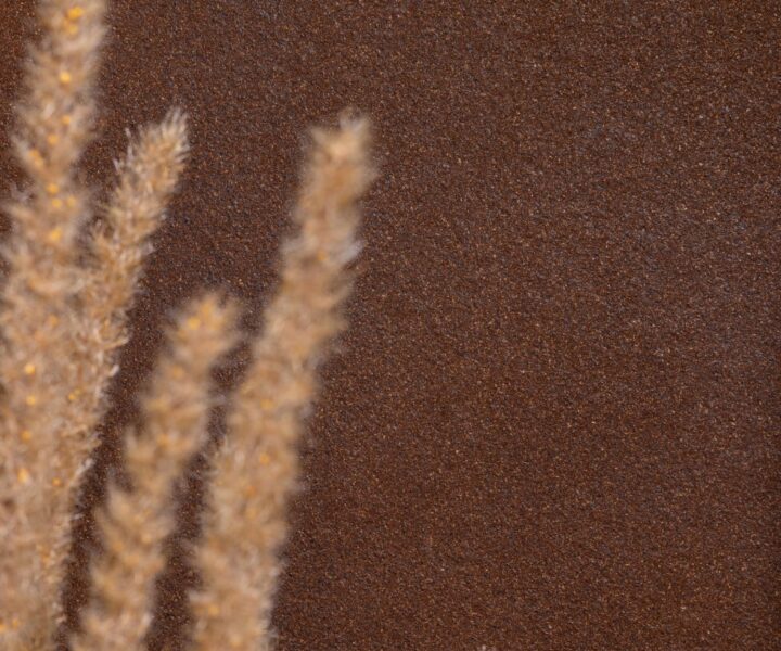 ORGANOID KAFA 1360×2950 MM