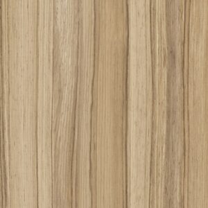 Univer 18mm coco bolo 8995 SN 0120098