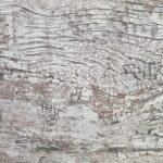 Univer 18mm aligator smeđi DM6 0120322