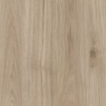 Univer 18mm virginia kesten 641 FS26 0120372