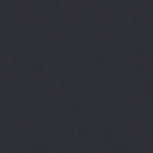 Univer 18mm carbon siva U968 ST9 0120477