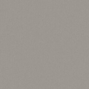 Radna ploča 38mm platina disk K523  PE 0500693