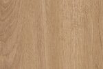 ABS kant traka zlatni hudson hrast 24529 42x1 0760395